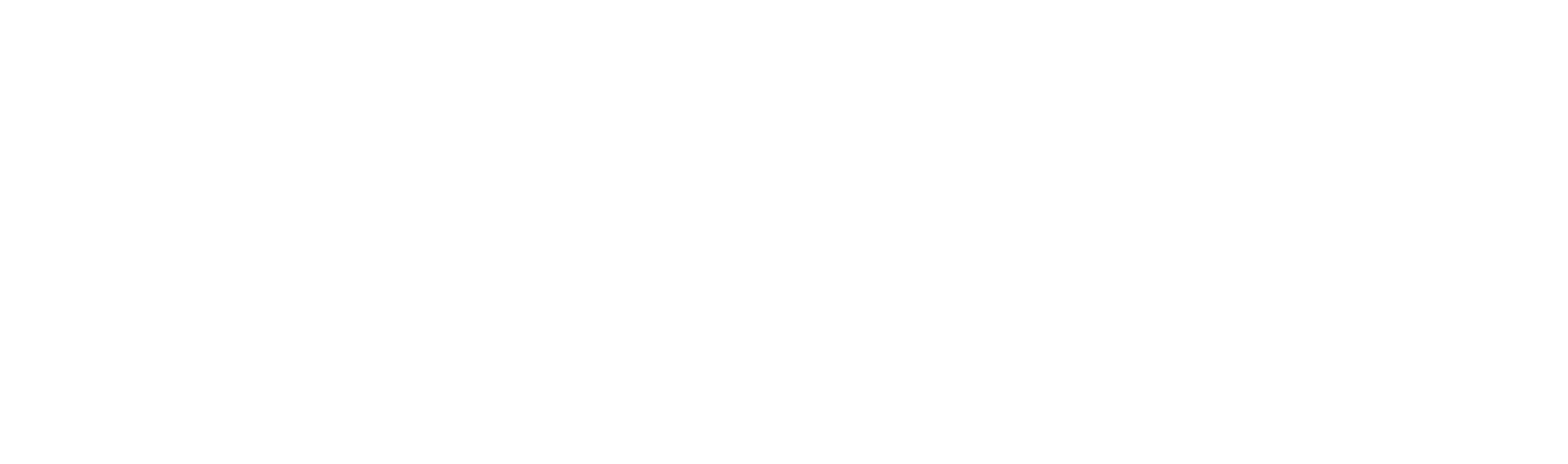 logo_cdn-controls-ltd_logo-only-all-white-01