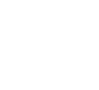 ISN-Hex-Logo-W