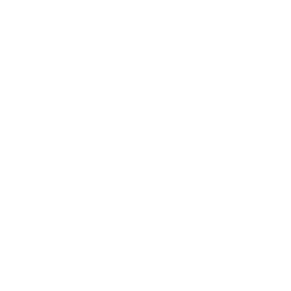 fiber-optic